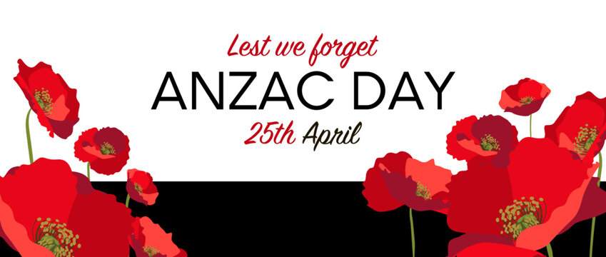 Anzac day horizontal banner layout with red poppies on white background