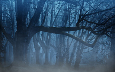 Free Horror Forest Photo Background