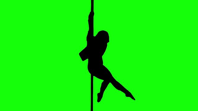 Silhouette sexy girl pole dancing on green screen backgrounds for compositing and presentation.