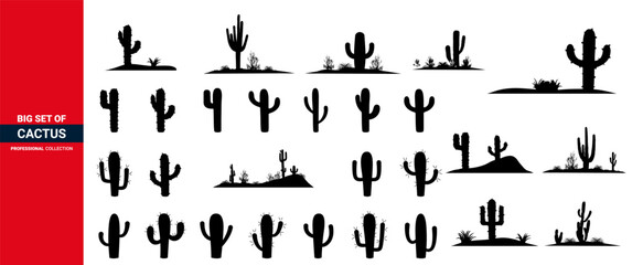 Cactus silhouettes illustrated, Cactus plants set, Cactus set of icon.