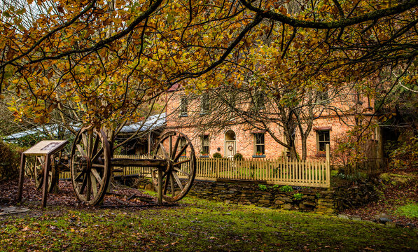 The autumn scene of the cottage house and garden in Walhalla village in regional Victoria