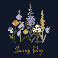 Sunny day slogan and bouquet of wild flowers, vector drawing plants at white background, hand drawn botanical illustration
