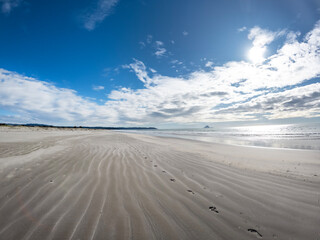 Port Ohope Recreation Reserve : Blue Sky and White Sands on the Beach in Bay of Plenty, North Island, New Zealand
