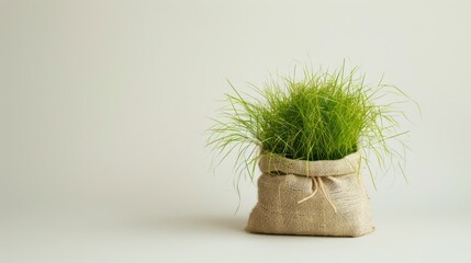 a tuft of luscious grass sticking out of a bag on a white background