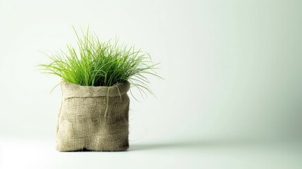 a tuft of luscious grass sticking out of a bag on a white background