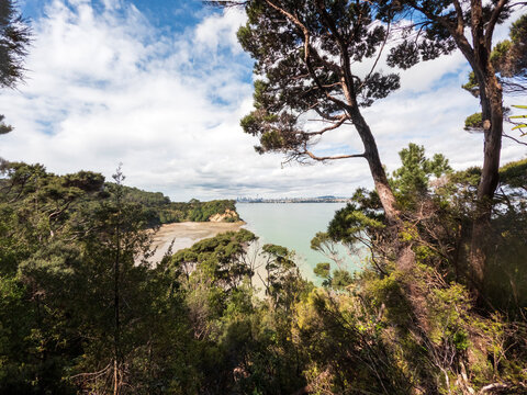 Birkenhead : Tranquil New Zealand Landscape - Auckland Coastal View, Seaside Serenity with Green Native Bush and Sandy Beach