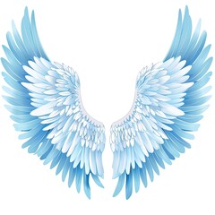 Angel wings isolated on white background.	