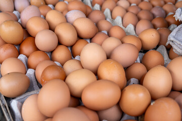 A number of fresh chicken eggs ready for sale and serving