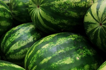 In the bustling market scene, a vibrant display of ripe watermelons catches the eye. The large, green-striped fruits are stacked in neat piles, their vibrant hues standing out against the backdrop of 