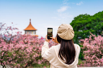 Young female tourist taking a photo of the beautiful cherry blossom at Wuji Tianyuan temple in Taiwan - obrazy, fototapety, plakaty