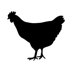닭 실루엣