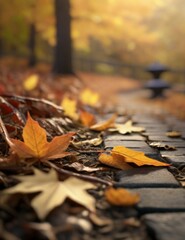 Autumn in the park and beautiful flower 