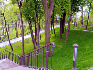 2014 April - Mezhyhirya National Park, Novi Petrivtsi, Kyiv region, Ukraine