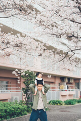 桜とお父さんと赤ちゃん