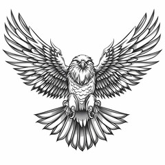 Eagle Symbol Illustration