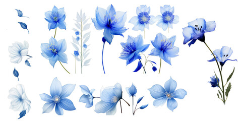 Collection of blue flower isolated on a white background as transparent PNG