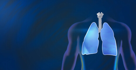 human Lungs x-ray image medical concept background