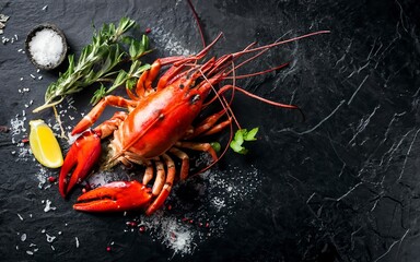 Cooking Spiny lobster or sea crayfish with herbs and spices. Black background