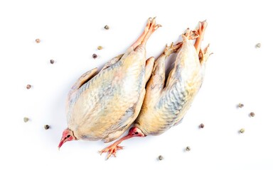 Farm eco friendly raw quails ready for cooking. Isolated on white background - obrazy, fototapety, plakaty