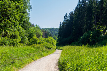 Fototapeta na wymiar Hiking path, hill panorama and forest with trees near Obertrubach in Franconian Switzerland, Germany