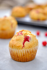 Muffins with red currants in the form for baking