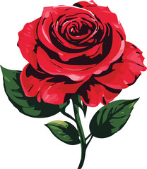 rose flower vector illustration