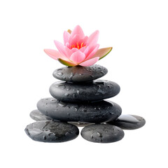 Zen stones with lotus flowers. Isolated on transparent background.