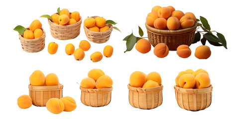 Collection of apricot in wooden basket isolated on a white background as transparent PNG