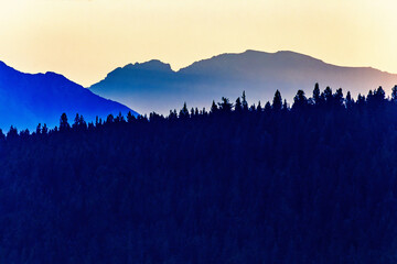 Mountain silhouettes with a forest at sunset