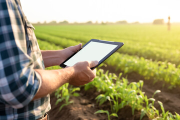 Farmer using digital tablet computer with blank white desktop screen in cultivated soybean crops. Smart farming and digital agriculture. Technology agriculture farming concept. 
