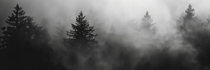Fototapeten fog in the forest, aerial view with some coniferous trees © Christopher