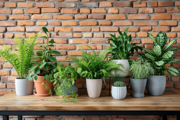 Against the backdrop of a textured brick wall, an array of vibrant potted plants adds a touch of greenery and charm to the urban setting.