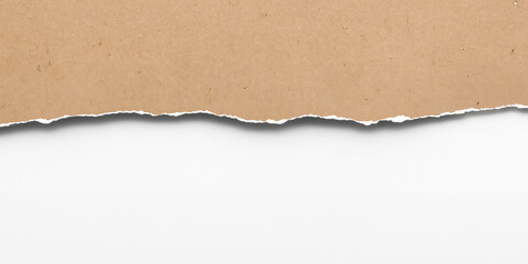 Torn Paper Background