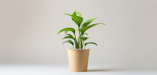 Biodegradable plant pot mockup with an earth-friendly design, suitable for printed corporate logos and eco-conscious messages