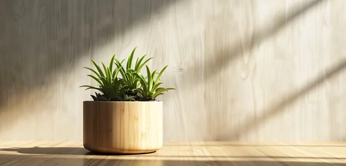 Fotobehang Bamboo plant pot mockup with an eco-friendly design, ideal for laser-engraved corporate branding and sustainability messages © MuhammadHamza