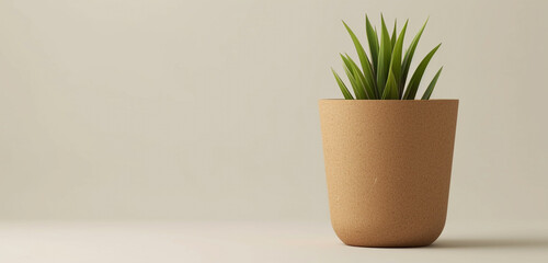 Biodegradable plant pot mockup with an earth-friendly design, suitable for printed corporate logos and eco-conscious messages