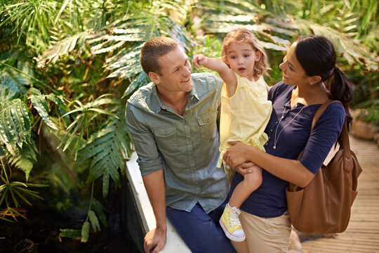 Happy family, child and pointing at zoo with tourist for sightseeing, travel or tour on trip. Father, mother and little girl showing direction, guide or exhibit to explore together in outdoor nature