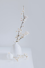Beautiful branches with white blossom and eggs on a white table. Minimal Easter concept.