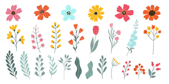 Set isolated hand drawn spring and summer flowers. Blossom heads of flowers, herbs, leaves, branches, berries, tulip. Flat vector illustration on white background. Elements for your design