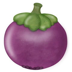 mangosteen , Set tropical fruit - fresh purple Queen of fruits. Whole and half with leaves. Hand drawn watercolor painting illustration isolated.