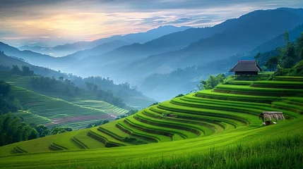 Fotobehang rice terraces in the morning © Iqra