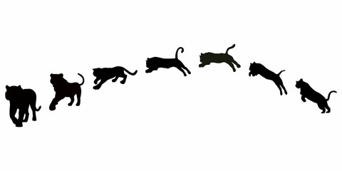 sequence of silhouettes of leaping tigers