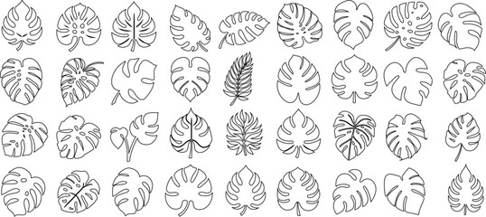 Monstera leaf line art, intricate designs of Monstera leaves, elegant decor, wallpapers, textile prints, nature beauty, detailed artwork of Monstera, tropical hues, visual appeal, artistic value - obrazy, fototapety, plakaty