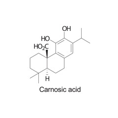 Carnosic acid skeletal structure diagram.Sesquiterpene compound molecule scientific illustration on white background.