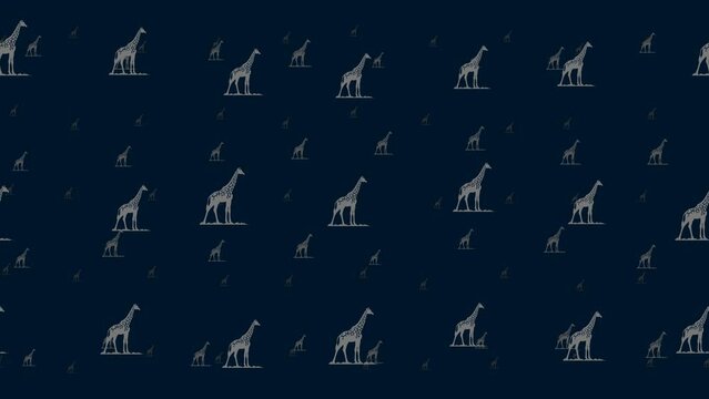 Wild giraffe symbols float horizontally from left to right. Parallax fly effect. Floating symbols are located randomly. Seamless looped 4k animation on dark blue background