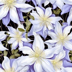 Beautiful Flowers of Clematis Paniculata, Cloud-Like Blooming White Clematis