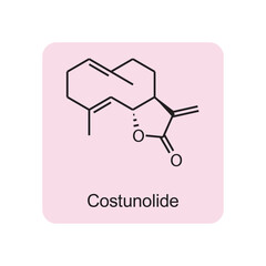 Costunolide skeletal structure diagram.Sesquiterpene compound molecule scientific illustration on pink background.