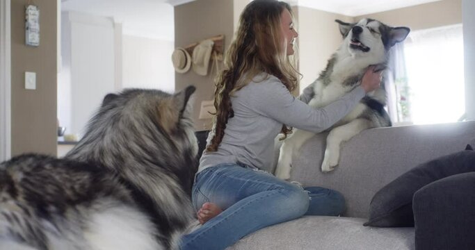 Woman, husky and living room couch with dogs, pet care and playful with happiness, home and smile. Animal, house and bonding together with joy, sofa and fun with owner, beautiful and energetic