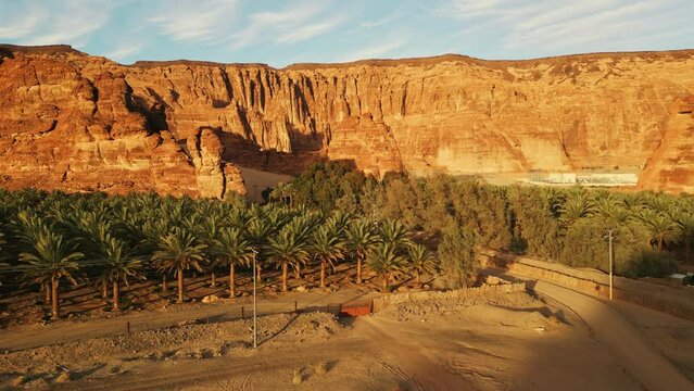 Oasis  with green palm trees, orange rocks and yellow sand in desert at sunrise. Al Ula, Saudi Arabia - Aerial drone view.