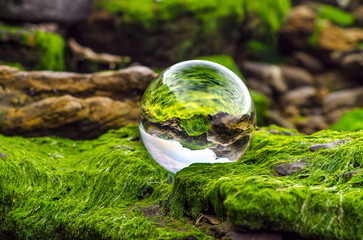 glass ball lens lies on stones covered with green mud and reflec